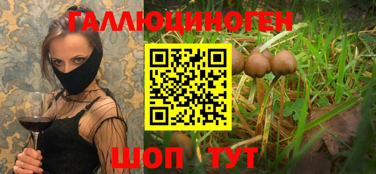Псилоцибиновые грибы ЛСД Лесной