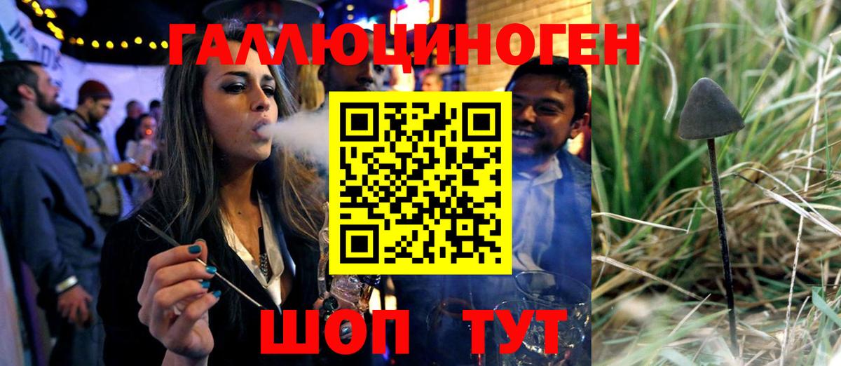 Галлюциногенные грибы ЛСД  Вход с VPN  как найти   Лесной 